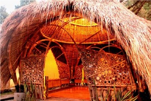 Bambu1